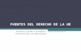 FUENTES DEL DERECHO DE LA UE Antonio Cardesa Salzmann (Universitat de Barcelona)