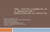 TEMA: EFECTOS ECONÓMICOS DE LA ORGANIZACIÓN Y ADMINISTRACIÓN DE PROYECTOS Estudio de la Organización Efectos Económicos de las Variables Organizacionales.