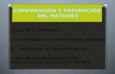 1. QUÉ ES EL MATONEO ? 2. COMPRENSIÓN Y PREVENCIÓN DEL MATONEO 3. PROPUESTA DE IMPLEMENTACIÓN 4.UNA INVITACIÓN A PROFESORES Y DIRECTIVOS DE COLEGIOS DE.