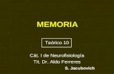 MEMORIA Teórico 10 Cát. I de Neurofisiología Tit. Dr. Aldo Ferreres S. Jacubovich.