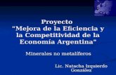 Proyecto "Mejora de la Eficiencia y la Competitividad de la Economía Argentina" Minerales no metalíferos Lic. Natacha Izquierdo González.