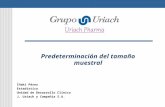 Predeterminación del tamaño muestral Iñaki Pérez Estadístico Unidad de Desarrollo Clínico J. Uriach y Compañía S.A.