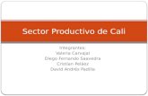 Integrantes: Valeria Carvajal Diego Fernando Saavedra Cristian Peláez David Andrés Padilla Sector Productivo de Cali.