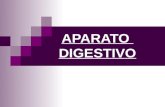 APARATO DIGESTIVO. Compuesto por: Tracto digestivo: Se extiende desde los labios hasta el ano. Su función es transportar los nutrientes en dirección al.