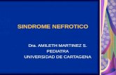 SINDROME NEFROTICO Dra. AMILETH MARTINEZ S. PEDIATRA UNIVERSIDAD DE CARTAGENA.