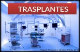 TRASPLANTES Miguel Pascual y Álvaro Pérez (1ºB). Definición / Concepto general Primeros trasplantes Tipos de trasplante Tipos de donante Tipos de rechazo.