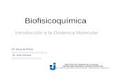 Biofisicoquímica Introducción a la Dinámica Molecular I NSTITUTO DE C IENCIAS DE LA S ALUD U NIVERSIDAD N ACIONAL A RTURO J AURETCHE Av. Lope de Vega 106,