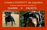 Criadero FENROTT de argentina Presenta Semental de la Camada “C” QUIARA X FAUSTO.