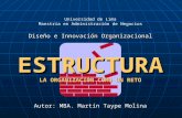 Diseño e Innovación Organizacional ESTRUCTURA LA ORGANIZACIÓN COMO UN RETO Autor: MBA. Martín Taype Molina Universidad de Lima Maestría en Administración.