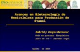 Avances en Biotecnología de Hemicelulosa para Producción de Etanol Gabriel J. Vargas Betancur Ph.D. en procesos Bioquìmicos Líder de I+D – Cementos Argos.