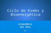 Ciclo de Krebs y Bioenergética BIOQUÍMICA Año 2014 GLS.