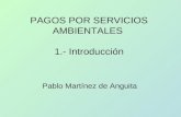 PAGOS POR SERVICIOS AMBIENTALES 1.- Introducción Pablo Martínez de Anguita.