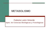 METABOLISMO Fabiola León Velarde Dpto. de Ciencias Biológicas y Fisiológicas.