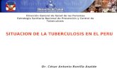 Dirección General de Salud de las Personas Estrategia Sanitaria Nacional de Prevención y Control de Tuberculosis SITUACION DE LA TUBERCULOSIS EN EL PERU.