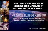 TALLER HEMISFERICO SOBRE SEGURIDAD Y SALUD OCUPACIONAL San Salvador, El Salvador Los desafíos de la salud y seguridad ocupacional frente a los mandatos.