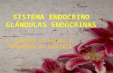 SISTEMA ENDOCRINO GLÁNDULAS ENDOCRINAS M. EUGENIA VILLASECA R. PROFESORA DE BIOLOGÍA.