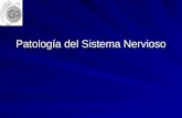 Patología del Sistema Nervioso. Sistema Nervioso DEF : Es el sistema que integra y regula las funciones sensoriales, motoras, de inteligencia y comportamiento,