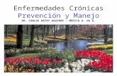 Enfermedades Crónicas Prevención y Manejo DR. CARLOS HATAY AGUIRRE – MÉDICO U. de A.