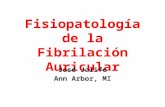 Fisiopatología de la Fibrilación Auricular José Jalife Ann Arbor, MI.