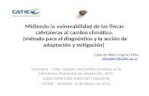 Midiendo la vulnerabilidad de las fincas cafetaleras al cambio climático. (método para el diagnóstico y la acción de adaptación y mitigación) Seminario.