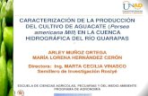 Diapositivas Aguacate enero 2013.pdf