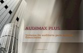 AUDIMAX PLUS AUDIMAX PLUS Sistema de auditoria para estados financieros.