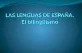 LAS LENGUAS DE ESPAÑA España es una nación plurilingüe en la que conviven el castellano o español, el catalán, el euskera y el gallego. Todas estas lenguas.