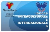 BECAS INTERCULTURALES INTERNACIONALES Organización para la Formación Intercultural y Cooperación Internacional para el Desarrollo.