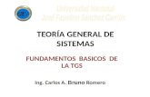 FUNDAMENTOS DE LA TEORIA GENERAL DE SISTEMAS