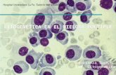 Esperanza Such Lab. Citogenética. Introducción El mieloma múltiple es una neoplasia caracterizada: por la acumulación incontrolada de células plasmáticas.