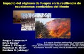 Grupo de Estudios Ambientales Impacto del regimen de fuegos en la resiliencia de ecosistemas semiáridos del Monte Impacto del régimen de fuegos en la resiliencia.
