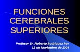 FUNCIONES CEREBRALES SUPERIORES Profesor Dr. Roberto Rodriguez Rey 12 de Noviembre de 2004.