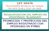 REGULARIZACION DEL EMPLEO NO REGISTRADO “BLANQUEO” PROMOCION Y PROTECCION DEL EMPLEO REGISTRADO CON PRIORIDAD EN PYMES LEY 26476 Res.03/2009 Ministerio.