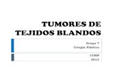 TUMORES TEJIDOS BLANDOS