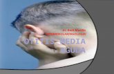 Dr. Raúl Murillo OTORRINOLARINGOLOGIA. DEFINICION  Infección Purulenta de la mucosa del Oído Medio  Comienzo Agudo  Dura menos de 3 semanas.