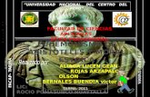 “UNIVERSIDAD NACIONAL DEL CENTRO DEL PERÚ” FACAP- TARMA FACULTAD DE CIENCIAS APLICADAS ÉTICA PROFESIONAL TARMA- 2011.