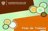 Plan de Trabajo 2009. Coordinación General Académica.