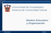 Universidad de Guadalajara Sistema de Universidad Virtual Modelo Educativo y Organización.