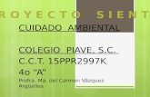 CUIDADO AMBIENTAL COLEGIO PIAVE, S.C. C.C.T. 15PPR2997K 4o A Profra. Ma. del Carmen Vázquez Argüelles.