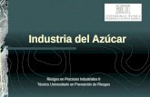 Industria Del Azucar