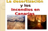 La desertización y los Incendios en Canarias. INDICE Desertización Desertización Actividades humanas que desencadenan la desertización. Extensión de la.