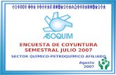 ENCUESTA DE COYUNTURA SEMESTRAL JULIO 2007 SECTOR QUÍMICO-PETROQUÍMICO AFILIADO Agosto 2007.
