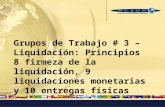 Grupos de Trabajo # 3 – Liquidación: Principios 8 firmeza de la liquidación, 9 liquidaciones monetarias y 10 entregas físicas.