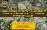 LIXIVIACIÓN DE COVELITA Y CHALCOPIRITA EN MEDIO BÁSICO CON CLORO AMONIO_10 agosto.pdf