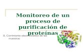 Monitoreo de un proceso de purificación de proteínas B. Corrimiento electroforético de las muestras.