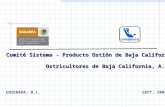 Comité Sistema - Producto Ostión de Baja California Comité Sistema - Producto Ostión de Baja California Ostricultores de Baja California, A. C. Ostricultores.