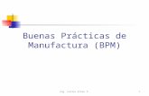 Buenas Prácticas de Manufactura (BPM) Ing. Carlos Elías P.1.