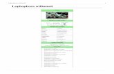 Lophophora williamsii PEYOTE.pdf