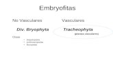 Embryofitas No VascularesVasculares Div. Bryophyta Tracheophyta (plantas vasculares) Clase Hepatopsida Anthoceropsida Bryopsida.