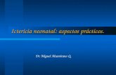 Ictericia neonatal: aspectos prácticos. Dr. Miguel Altamirano Q.